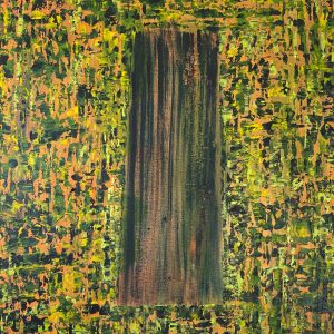 Tragedy of the Amazon