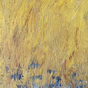Ukraine Wheat fields